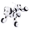 Catel Robot  Interactiv - RobotDog