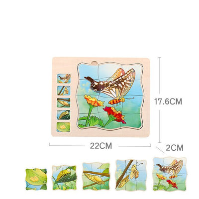 Puzzle Stratificat din lemn - Metamorfoza la Fluture