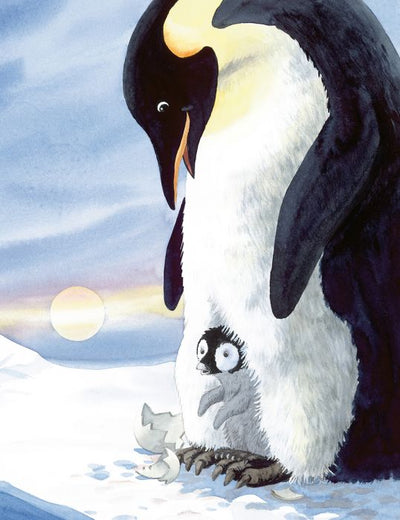 Pele, micul pinguin