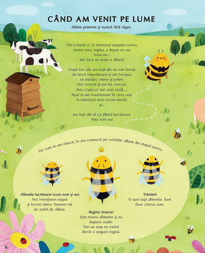 Viata secreta a albinelor
