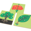 Puzzle educativ din lemn - Botanica - Componentele Copacului
